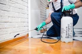 Best Residential Pest Control  in Holgate, OH